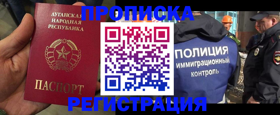 прописка поиск в Гаджиево